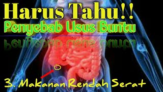 Penyebab Usus Buntu Yang Harus di Ketehui