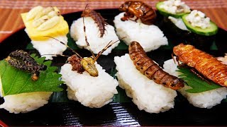Eating Bugs to Save Earth