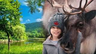 На спине у оленя лежала маленькая девочка. Она потерялась, и только он мог ее спасти!