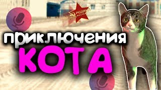Приключения Кота На Rodina RP  Голосовой чат на Родина РП в GTA CRMP