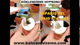 Köklendirme hormonu,köklendirme hormonu,çelik köklendirme hormonu,dal köklendirme hormonu,KÖKLENDİRM