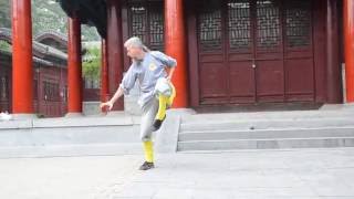 Сяо хун цюань. Шаолинь. Рогов В.М. #Shaolin #Damo