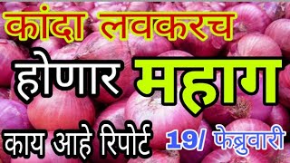 कांदा बाजार वाढले/onion prices market report/Kanda market report today/19/02/2020/Kanda bhav w