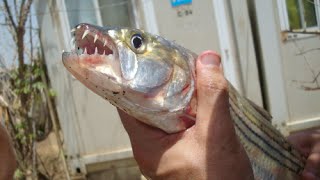 Рыбалка в Африке Fishing in Africa My fishing