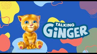 Gatinho louco tomando banho!