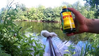 Реакция рыбы на керосин. Подводная съемка. Карась, рак