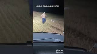 Поймал зайца голыми руками