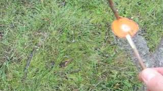 Bark Grafting a Fruit Tree