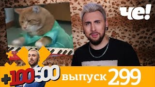 +100500 | Выпуск 299 | Новый 8 сезон на телеканале Че!