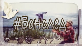 БОНСЛЕД (Мурманск)