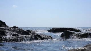 ? ? Нежное Море ~ Звуки Волн Для Релакса и Сна ? ? Морской бриз на Морском Берегу