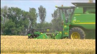 Украина будет экспортировать зерно в этом году