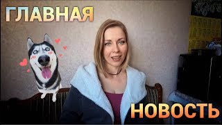 Про собак. 2 недели на передержке.