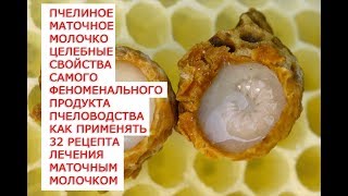 Пчелиное маточное молочко целебные свойства самого феноменального продукта пчеловодства как применят