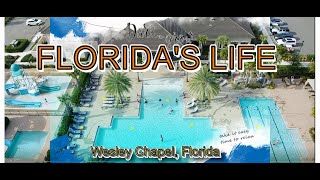 FLORIDA'S LIFE | VUI CHƠI CUỐI TUẦN |  GIA ĐÌNH PHÁT VI ĐẾN THĂM TAMPA, FLORIDA JAN 2020