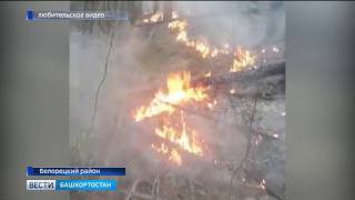 В Белорецком районе горит лес