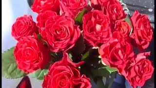 ВОТ ЭТО ДА!!! БОЛЬШОЙ БУКЕТ РОЗ