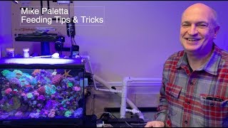 Feeding Tips from Mike Paletta - feeding fish that won't eat - 10 gallon saltwater fish tank setup