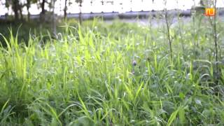 Сергей Филипов - Краснотурьинск-Филипов