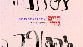 אורי בראונר כנרות - שתיקת הים