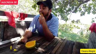 Desanimado com o Trabalho da fazenda