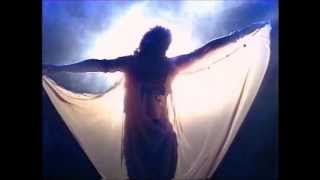 SleepWalk Belly Dance Montage