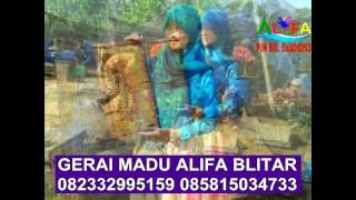 MADU ASLI BOGOR DEPOK TANGERANG PURWAKARTA MAJALENGKA CIAMIS BANJARNEGARA