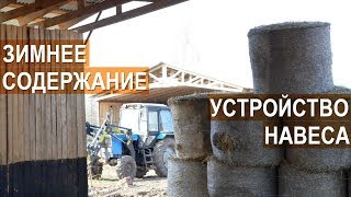 Зимнее содержание мясного скота. Навесы для КРС на зимнем выгуле. Семейная ферма КФХ Герефорд