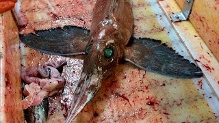 ПОЙМАЛИ МОРСКОГО МОНСТРА – Мутант или Чудовище (Страшная Рыба-Птица)