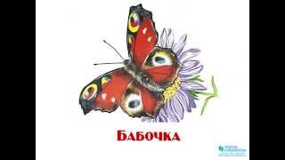 Презентация для детей "Насекомые"
