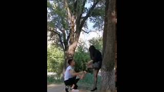 Stocking foot tricking and massage at the park