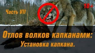 Секрет правильной установки капкана
