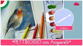 Acquerello Lezione 26: Come dipingere un Pettirosso nella Pioggia - Video Corso di Acquerello Online