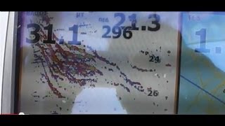 snapper ΔΥΟ ΜΕΓΑΛΑ ΜΑΥΡΟΤΣΑΟΥΣΑ-Ν23 sotos fishing