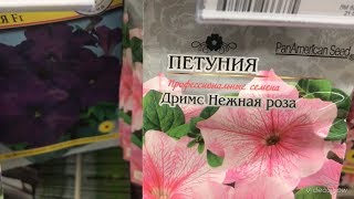 ЛЕРУА МЕРЛЕН .Семена цветов, Часть 2.