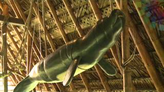 Puerto López, Biblián, Añangu - ECUADOR AMA LA VIDA (P29/T1) - HD