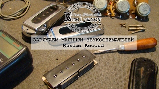 Результат зарядки магнитов звукоснимателей Musima