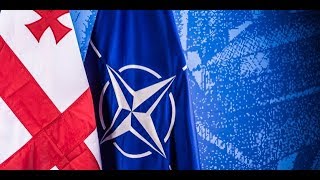 Грузия выбирает NATO и озабоченность Григория Карасина Пограничная ZONA Автор Егор Куроптев