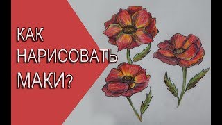 КАК НАРИСОВАТЬ МАК?