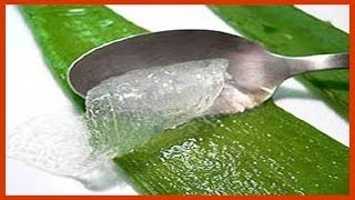 Receita Para Queda de Cabelo Com Babosa