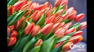 ДЕВА - ТАРО прогноз на МАЙ 2019 года
