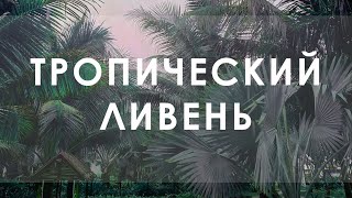Как заливает тропический ливень во Вьетнаме. Дождь во время отдыха