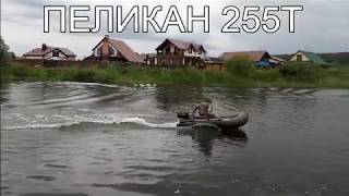 Пеликан 255Т с мотором Меркури 3.3 л.с.