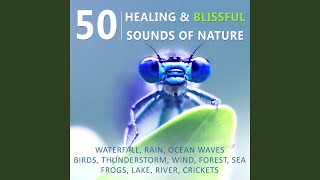 Inner Peace & Equilibrium (Total Relax)