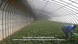 камышовые плиты маты машина-Камышовые маты строительное видео