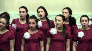 Хоровой диптих (темы украинских народных песен)