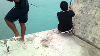 沖縄県宮古島の釣り ロウニンアジ GT Giant trevally 37kg okinawa miyakojima fishing 오키나와의 낚시
