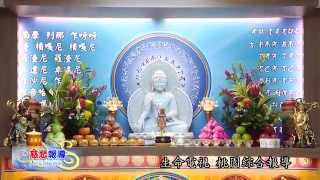 【慈悲報導】103-11-09 桃園中心不動如來佛像安座暨喬遷灑淨