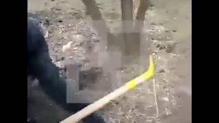 На Славянском бульваре поймали маньяка во время нападения на очередную жертву.