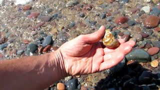 AGATE BEACH ALONG LAKE SUPERIOR IN MICHIGAN | Jason Asselin